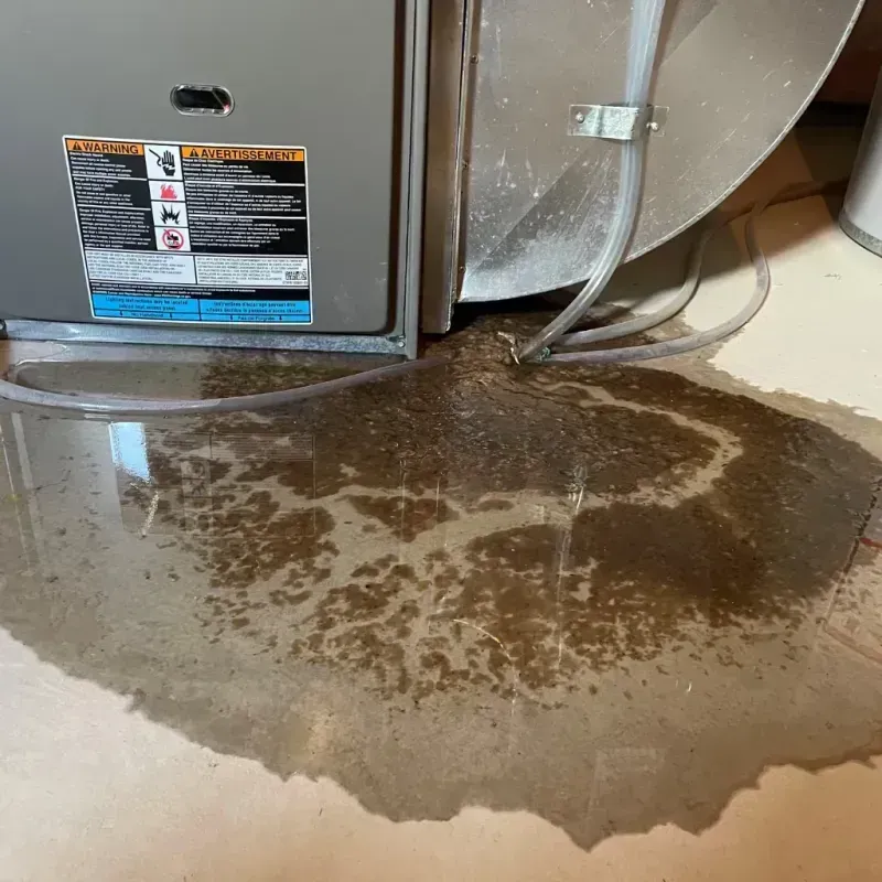 Appliance Leak Cleanup in Caddo Mills, TX